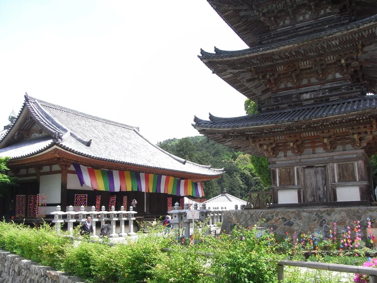 画像42