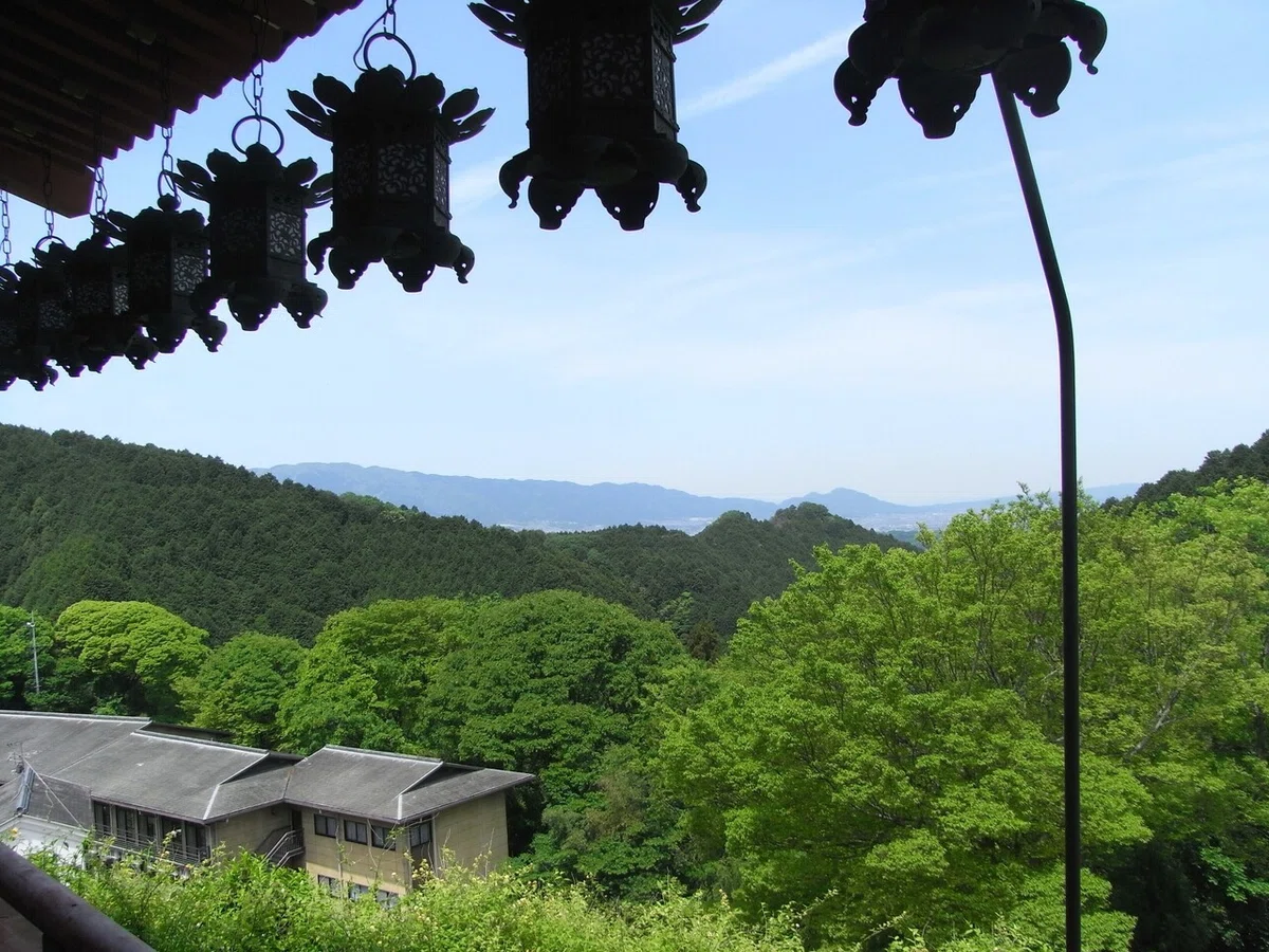 画像44