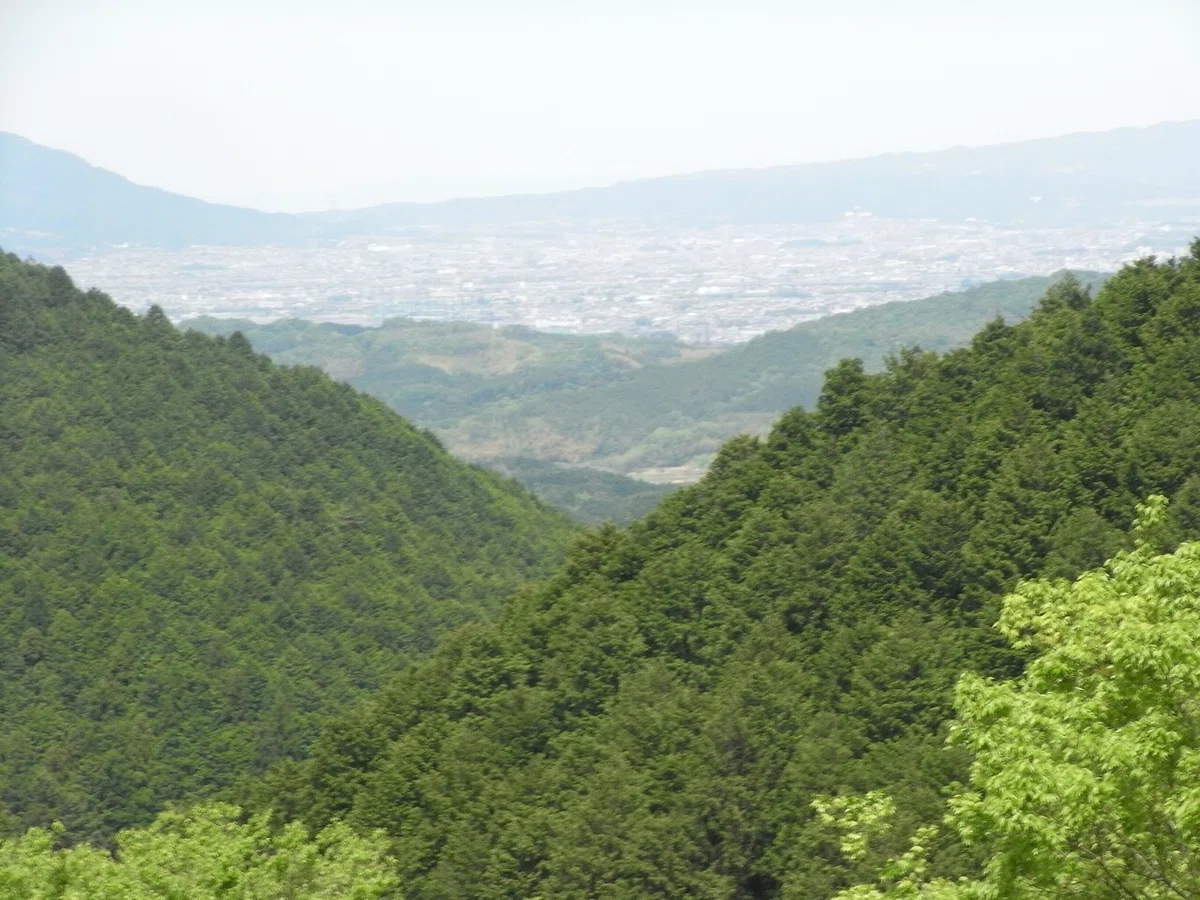 画像45