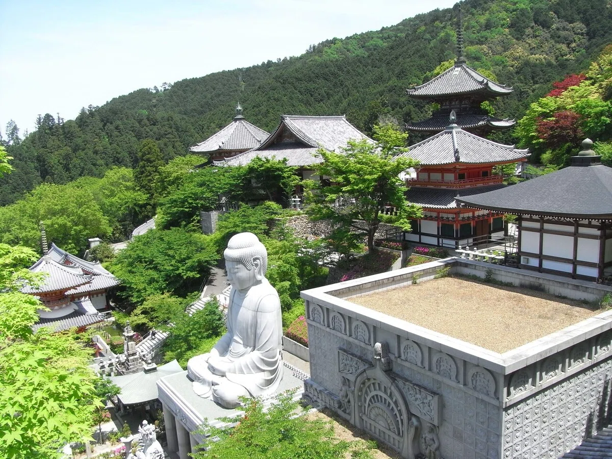 画像47