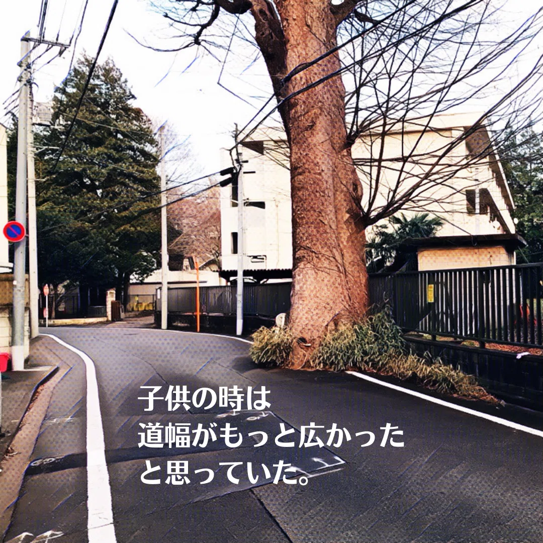 画像13