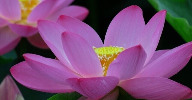 いろいろ思わぬことが起きて、頭の中がわーっとなってる時にまずするといい、 たったひとつのこととは？｜上野聡一朗