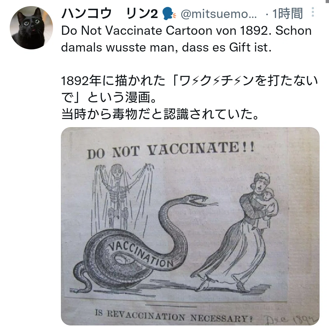 画像11
