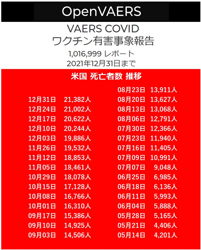 画像11