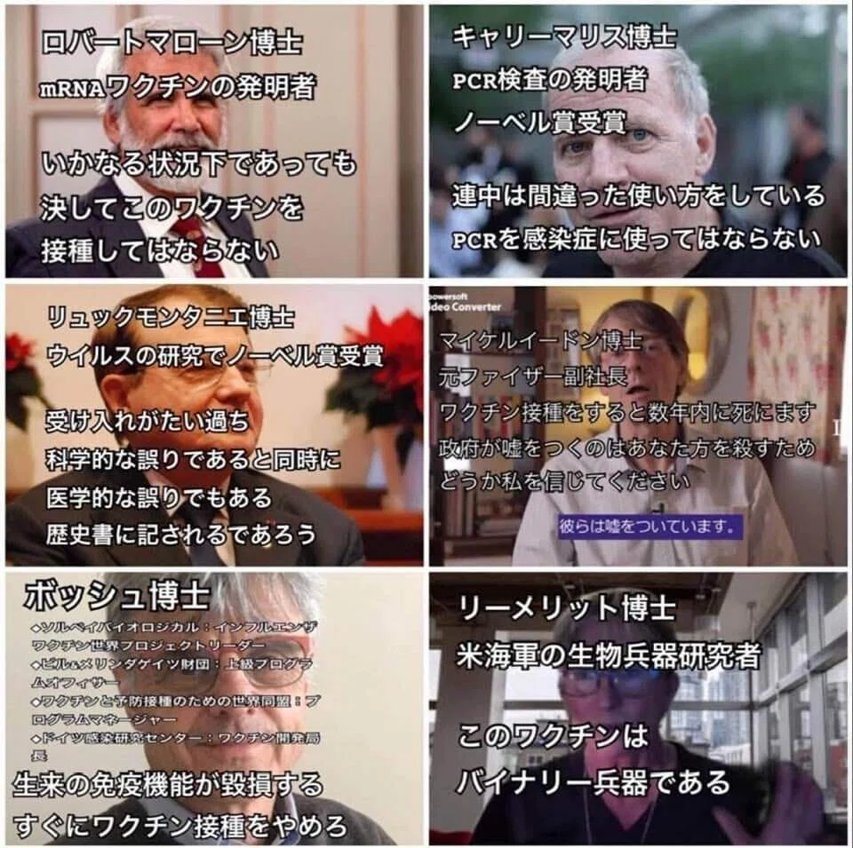 画像12