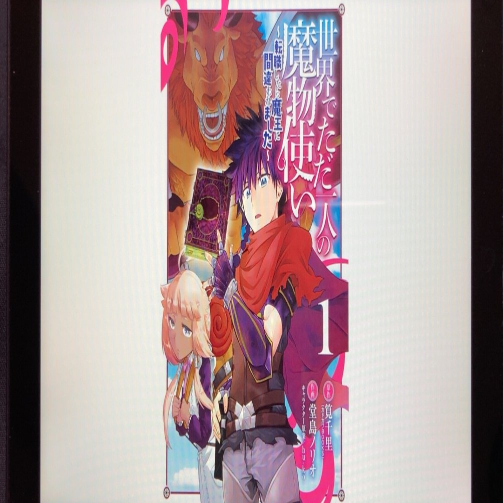 毎日読書感想文 世界でただ一人の魔物使い 転職したら魔王に間違われました 1 22 1 13 Vol535 Hakatamax Note