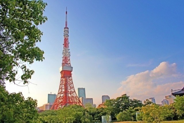 東京 タワー 建設 死亡 東京タワー Amp Petmd Com 東京 タワー 建設 死亡 東京タワー Amp Petmd Com