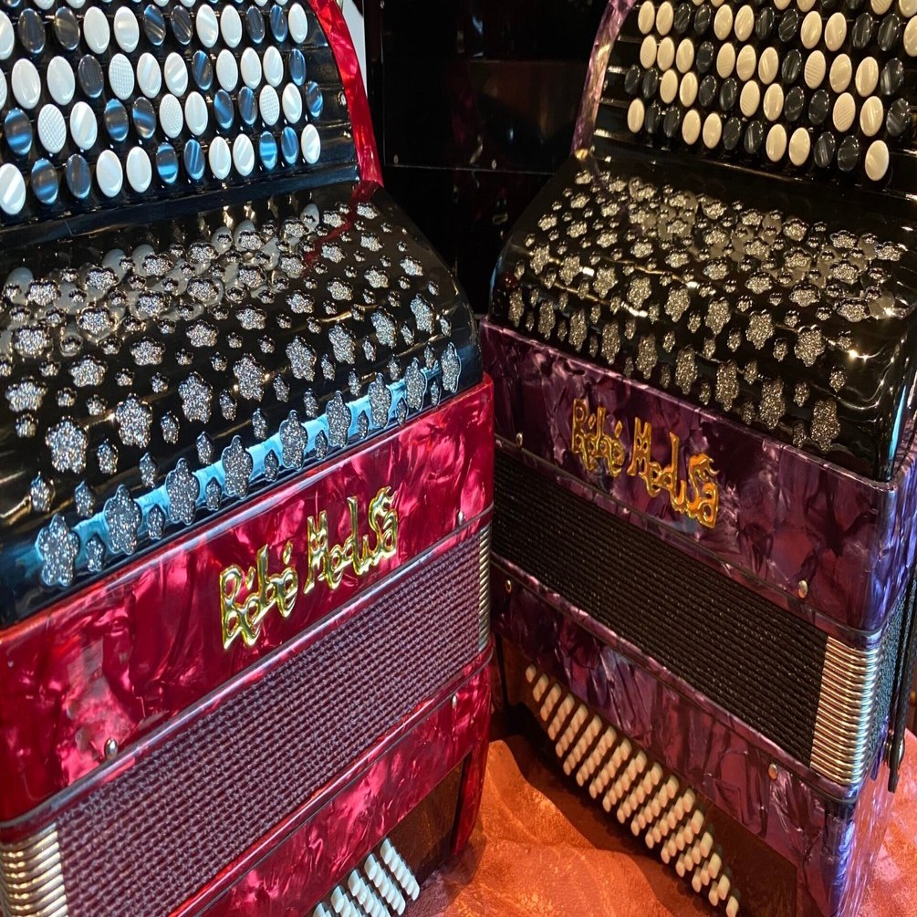 Bébé Medusa近況報告｜suttokodokkoiii