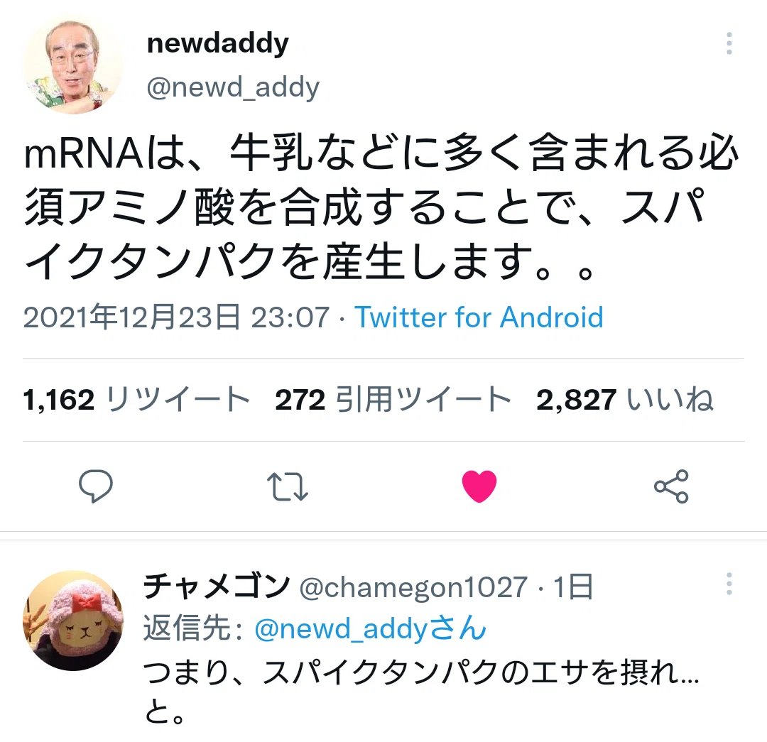 画像33