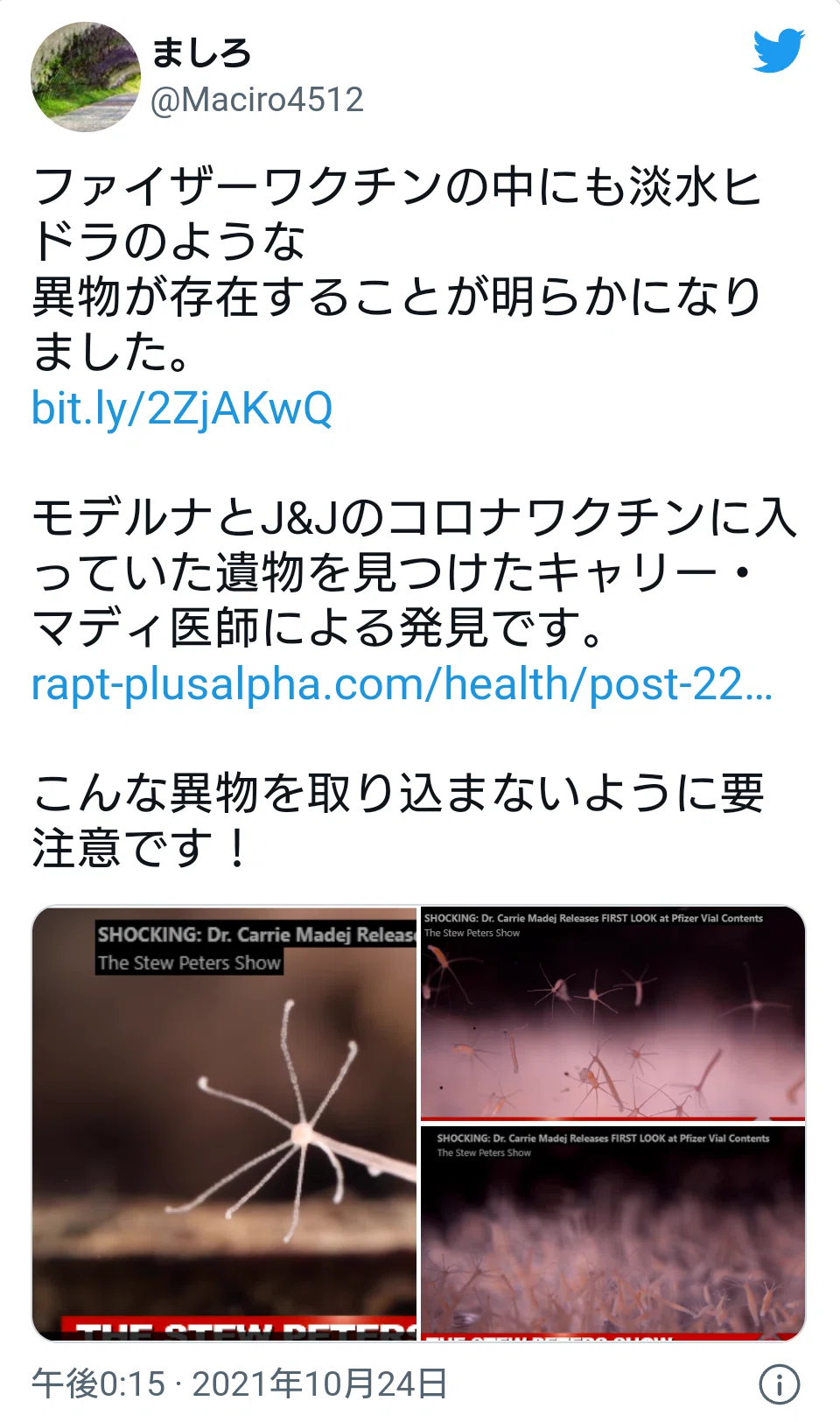 画像35