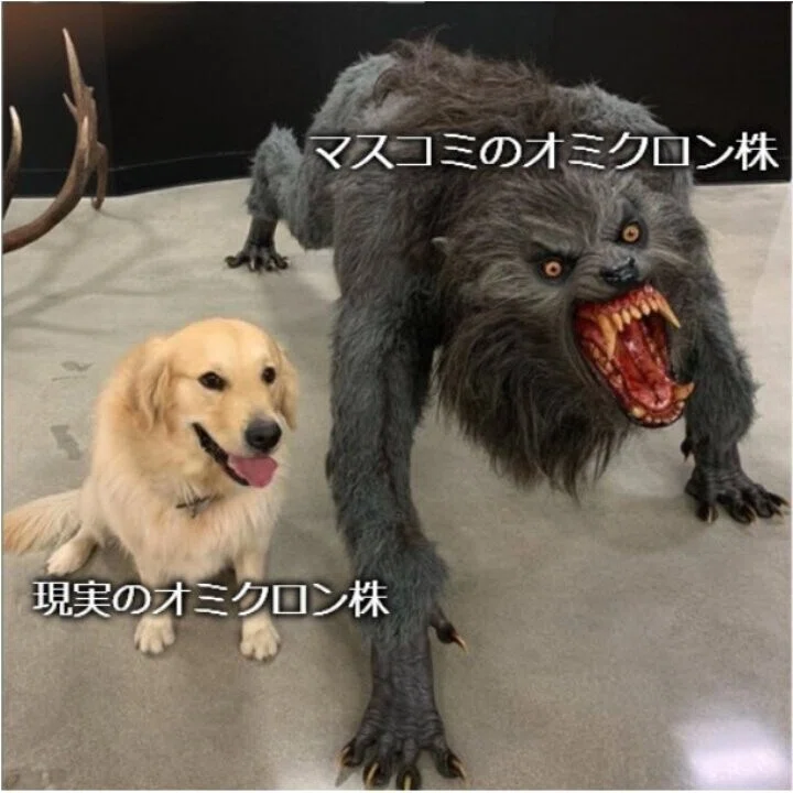 画像40
