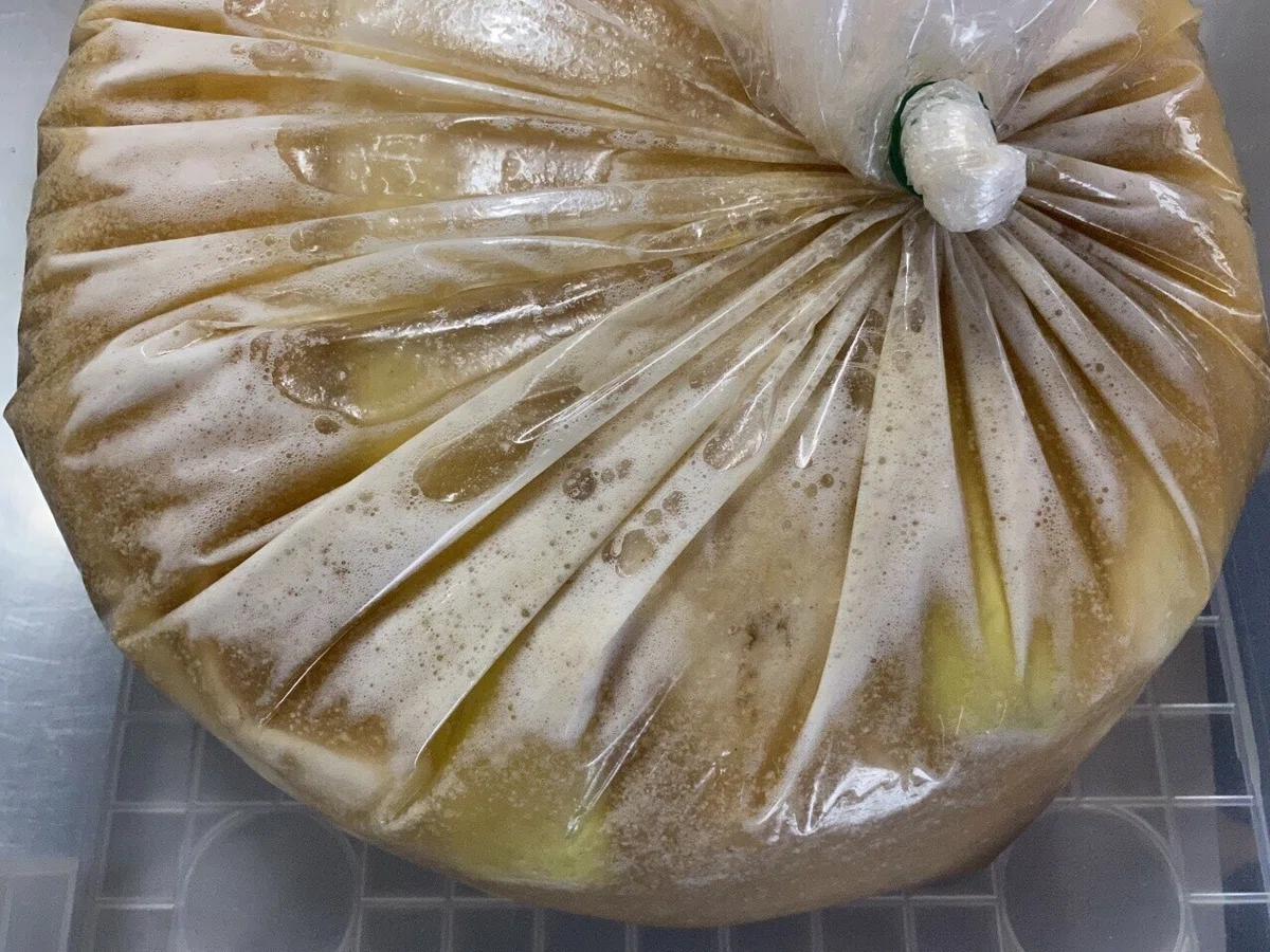 画像8