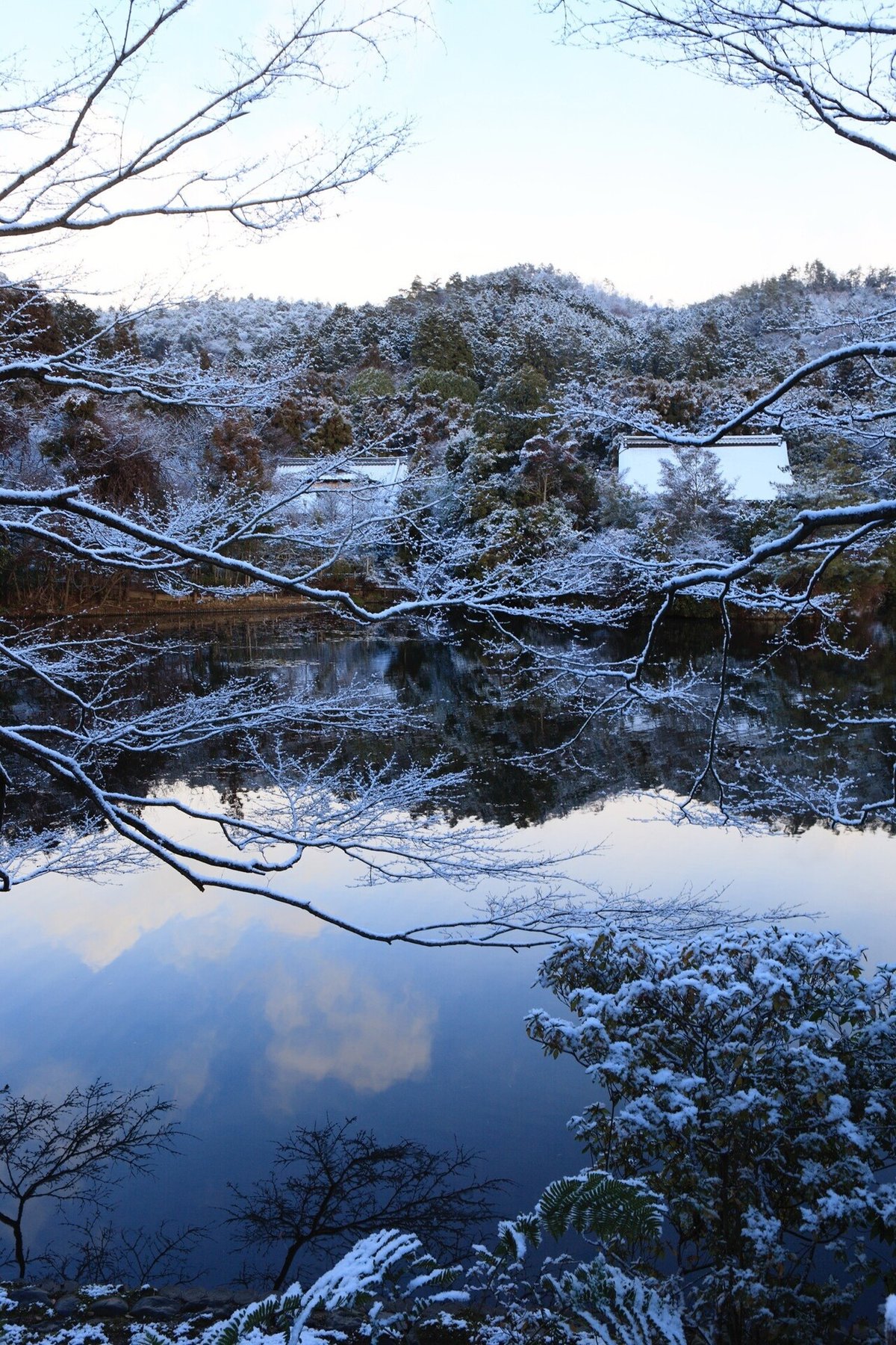 th_雪、龍安寺11-0901