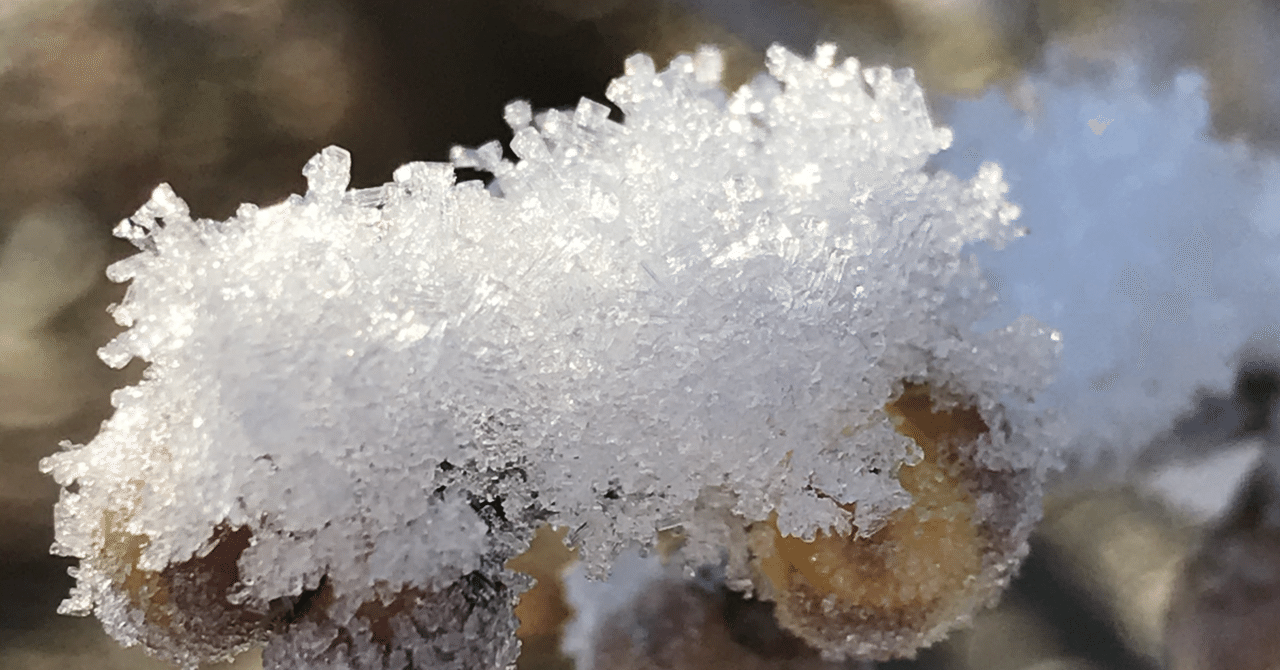 【私のことをお伝えします】 4日目 なぜ変わろうと思ったのか｜あいちゃん｜note