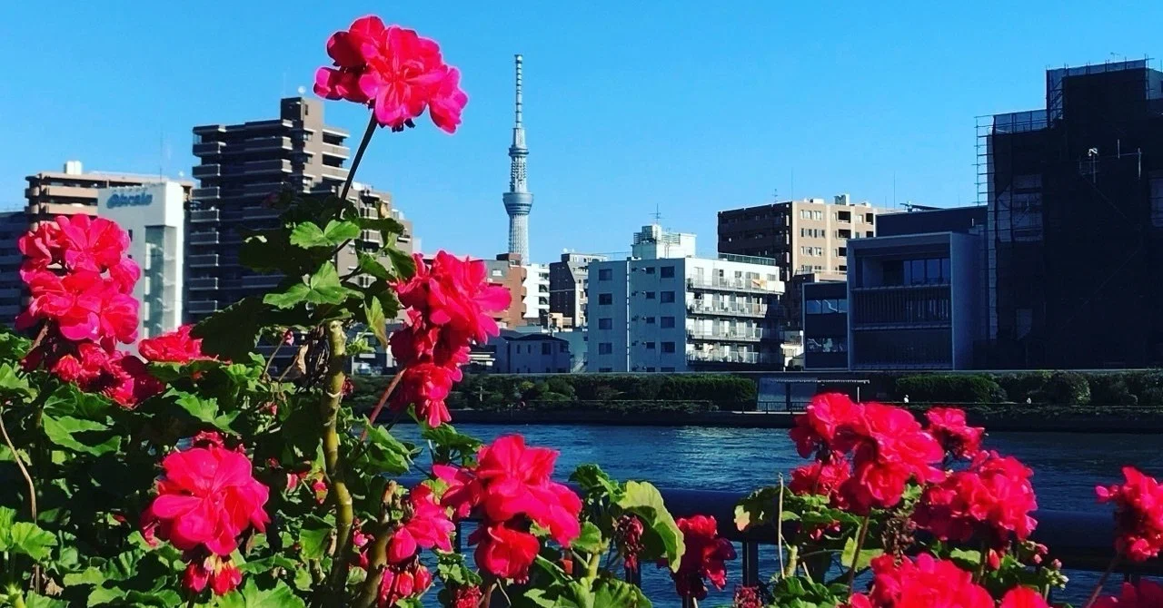 人は好きなものしか撮らない」ヘタだけど写真が好きな理由|Azusa