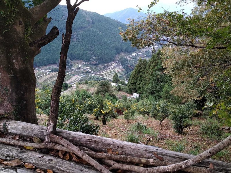柚子山からの眺め