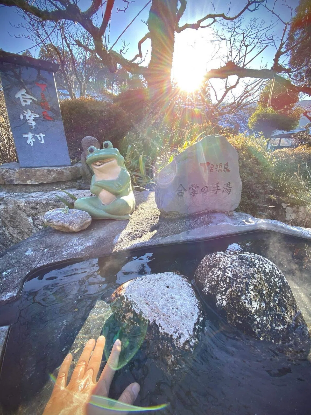 画像6
