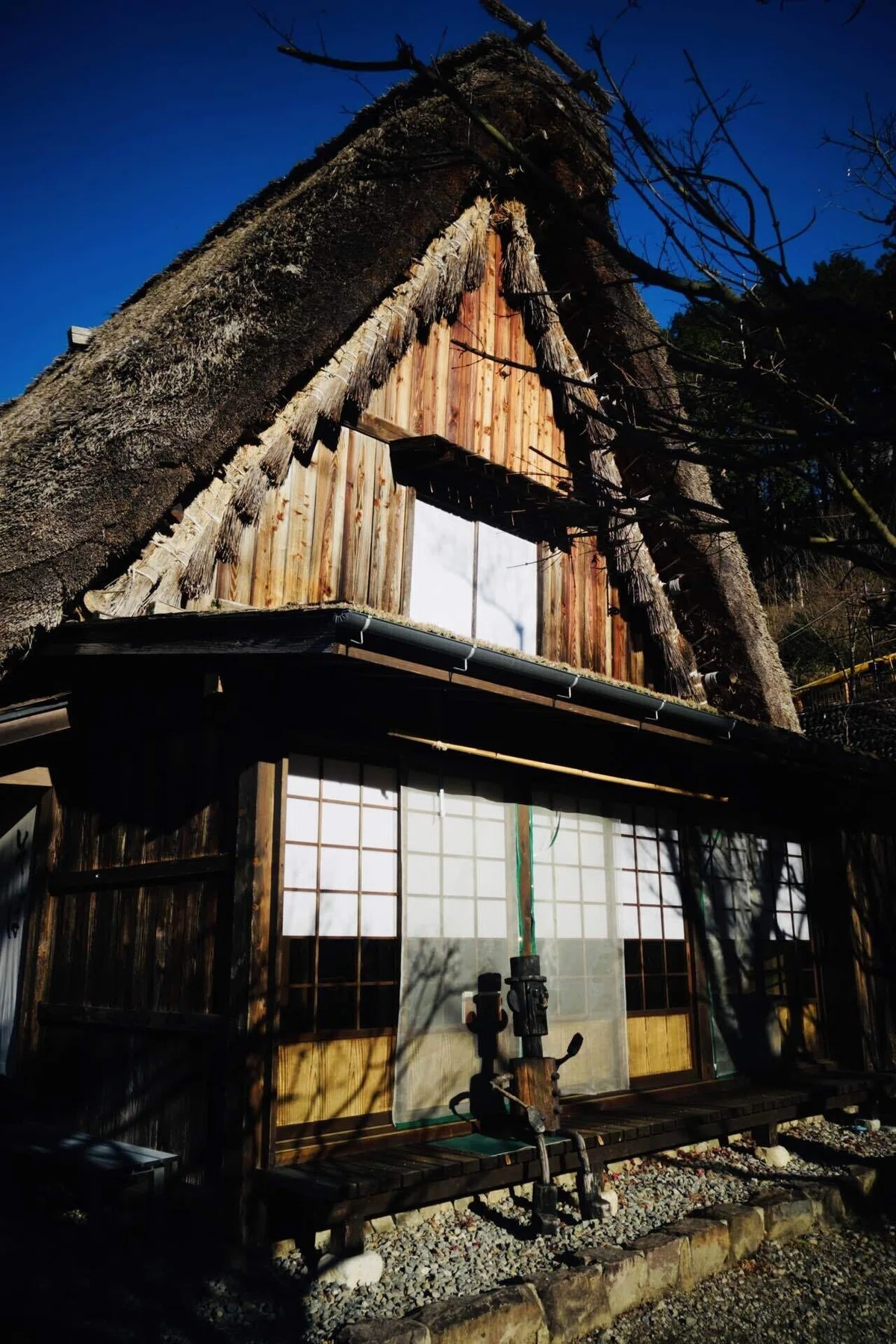 画像7