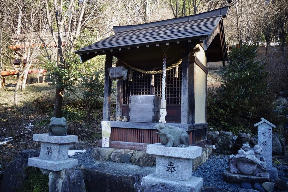 画像12