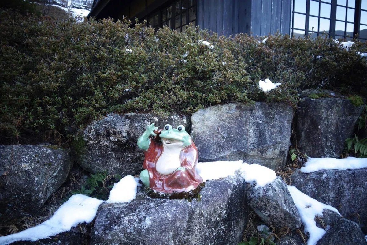画像15