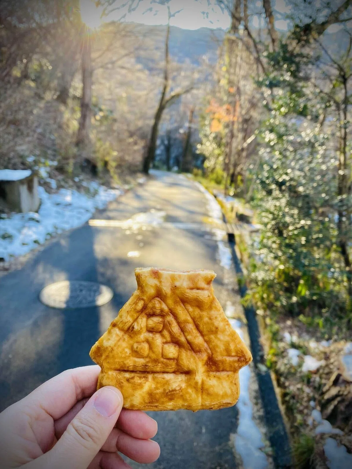 画像24