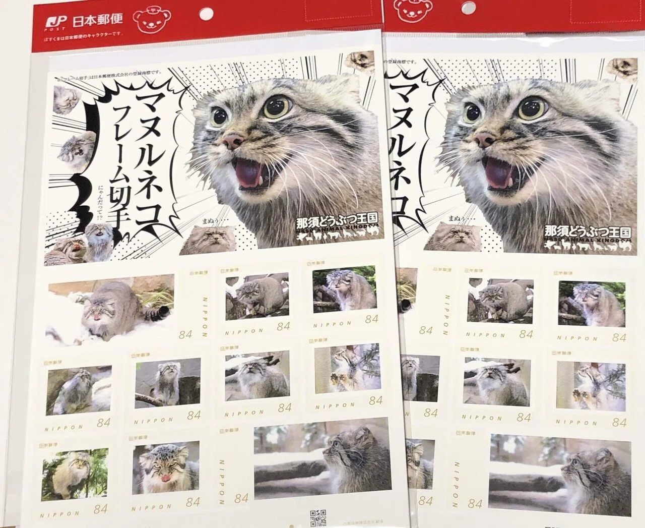 国内飼育マヌルネコ図鑑の完成 あいし Note 国内飼育マヌルネコ図鑑の完成 あいし Note