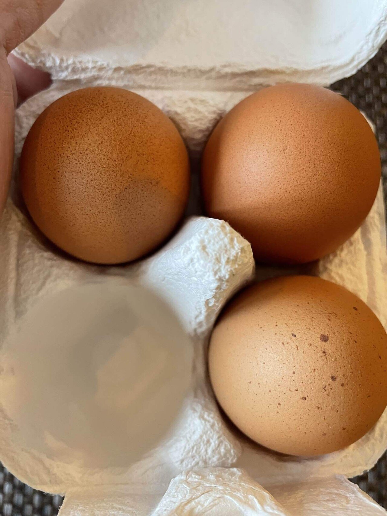 全国たまご好き協会（仮）｜Kentaro Ochiai 落合健太郎