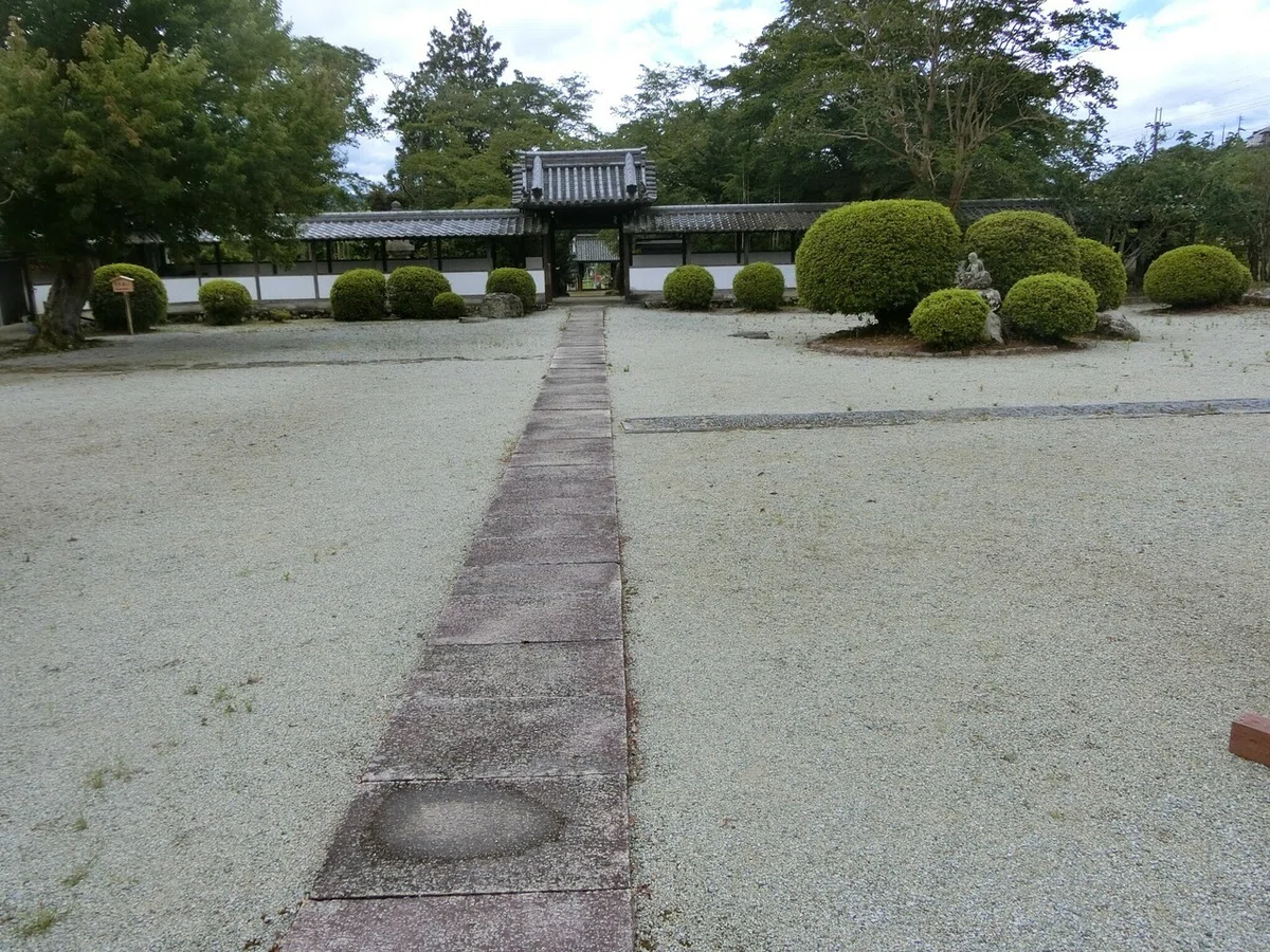 画像9