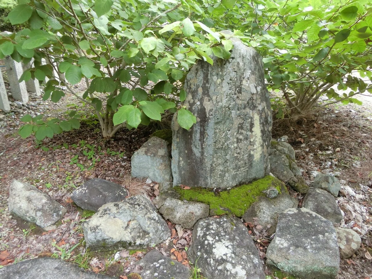 画像14