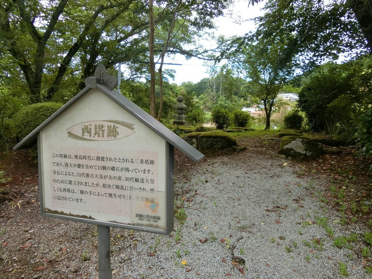画像17