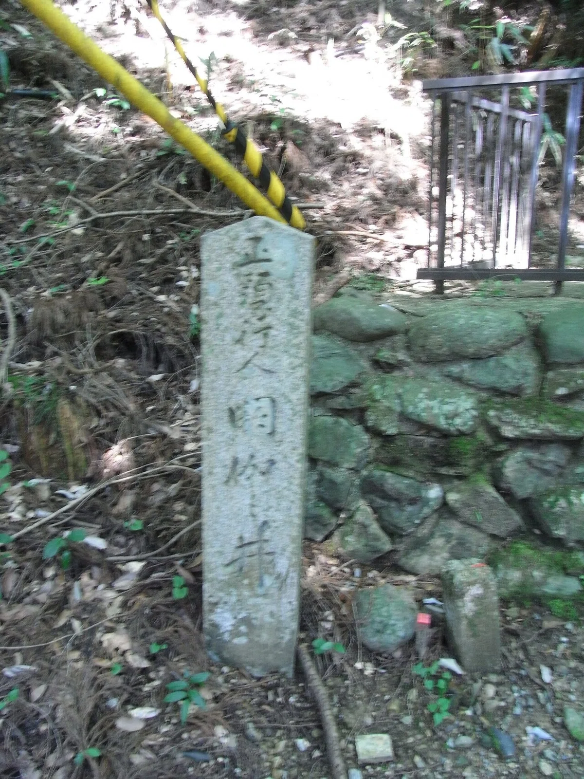 画像10