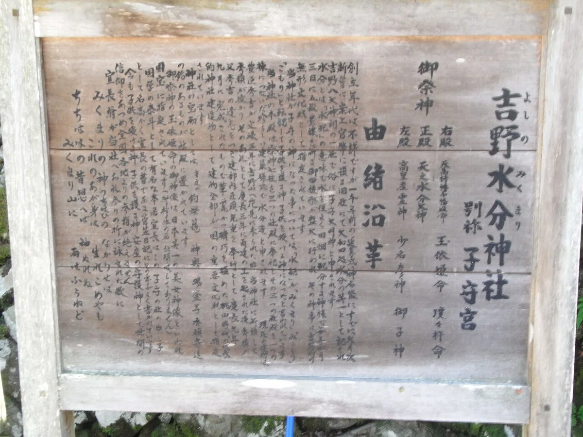 画像17