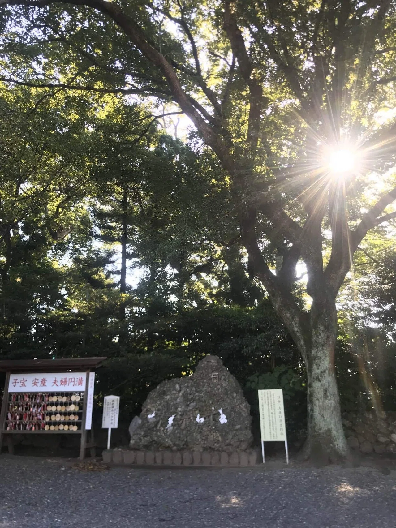 君が代の歌詞の『さざれいしの』を知りました｜まるはな農園