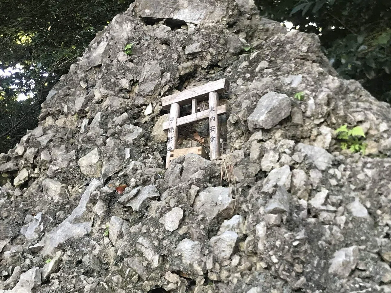 君が代の歌詞の『さざれいしの』を知りました｜まるはな農園