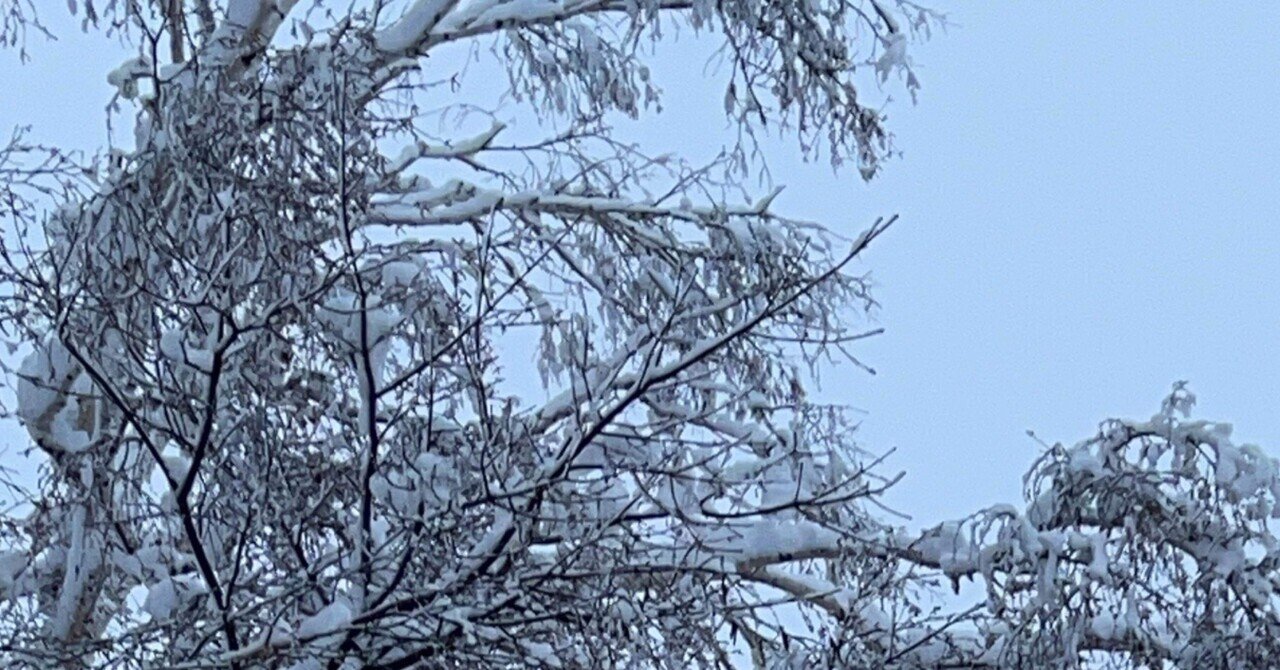 感謝の気持ち｜ろく北海道｜note