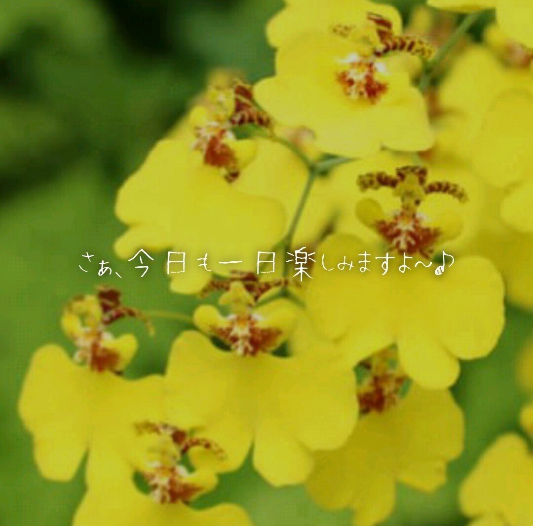 可憐の意味 の新着タグ記事一覧 Note つくる つながる とどける 可憐の意味 の新着タグ記事一覧 Note つくる つながる とどける