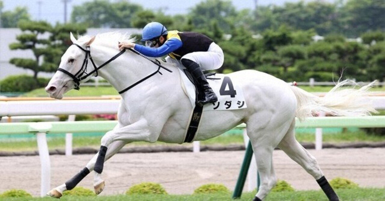 愛知杯 中京芝は明らかに先週と違う｜ラムザ｜note