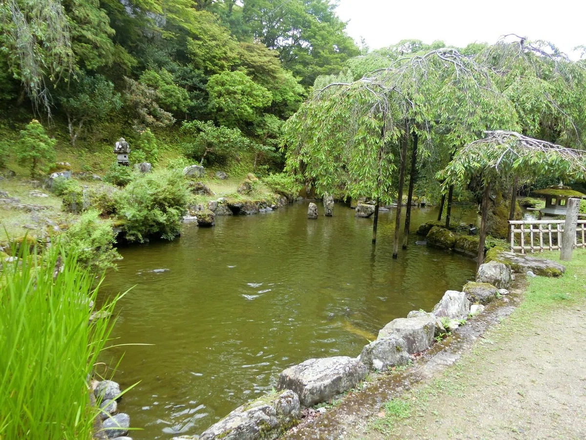 画像19