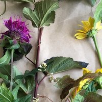 純度の高い恋は地に落ちて いっそう輝く 千花物語 Note