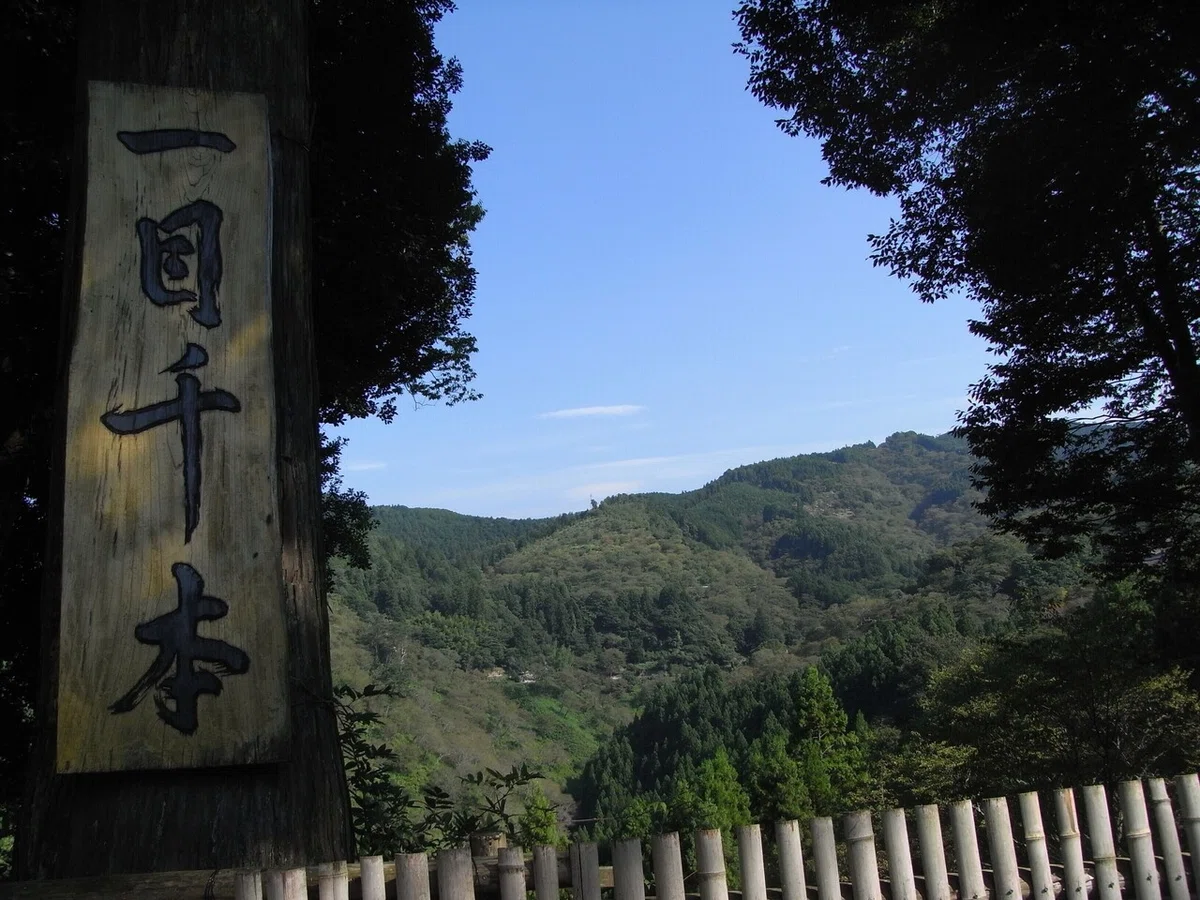 画像16