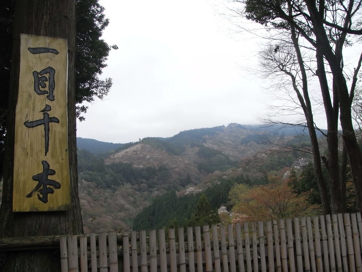 画像23