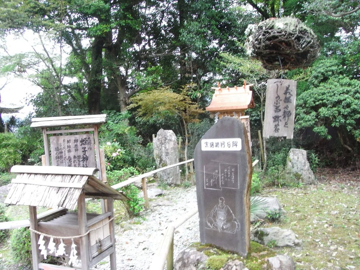 画像25
