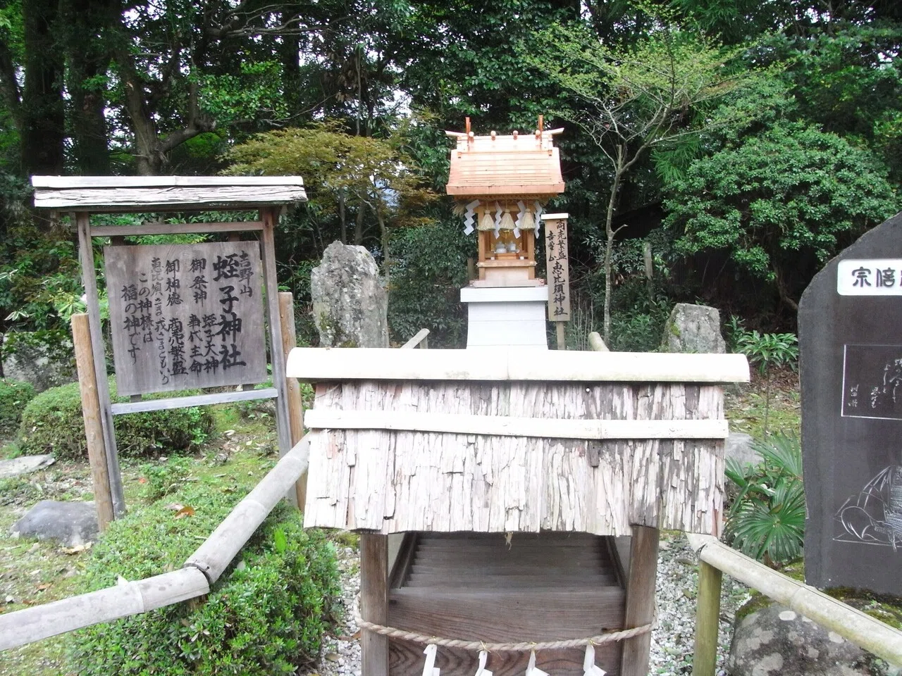 世界遺産！桜の名所「吉水神社」最強の役行者三尊「東南院」復活するか
