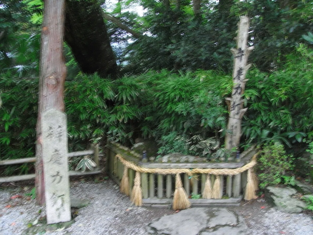 画像27