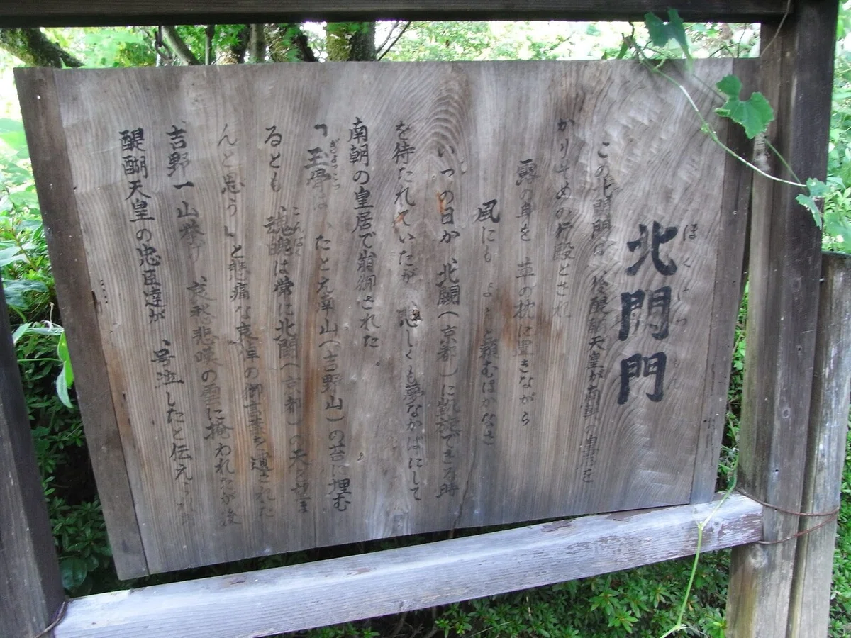 画像28