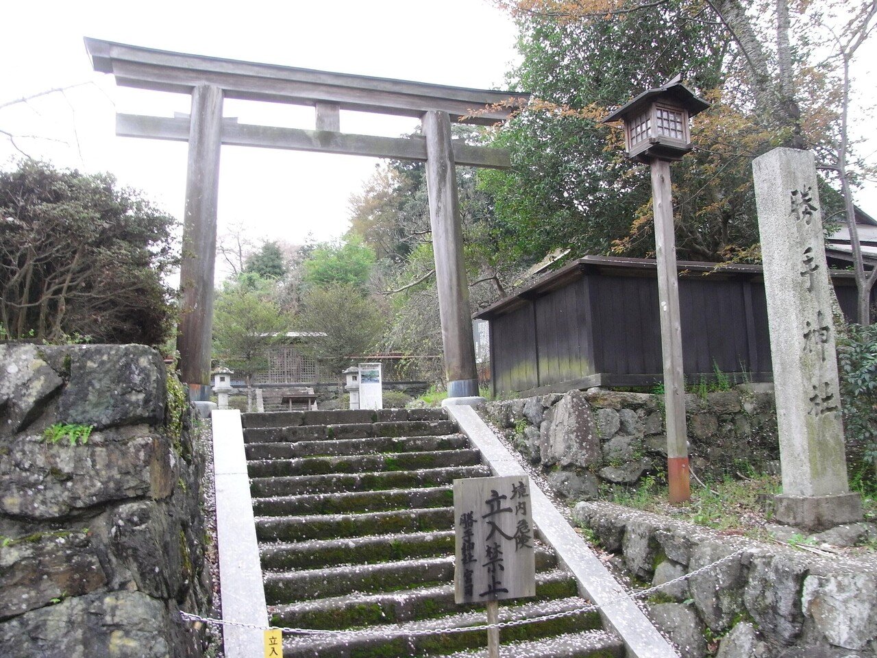 世界遺産！桜の名所「吉水神社」最強の役行者三尊「東南院」復活するか