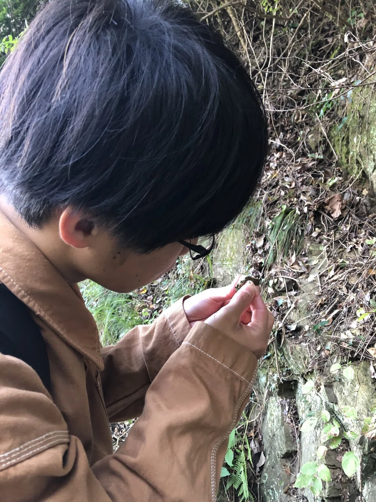画像4