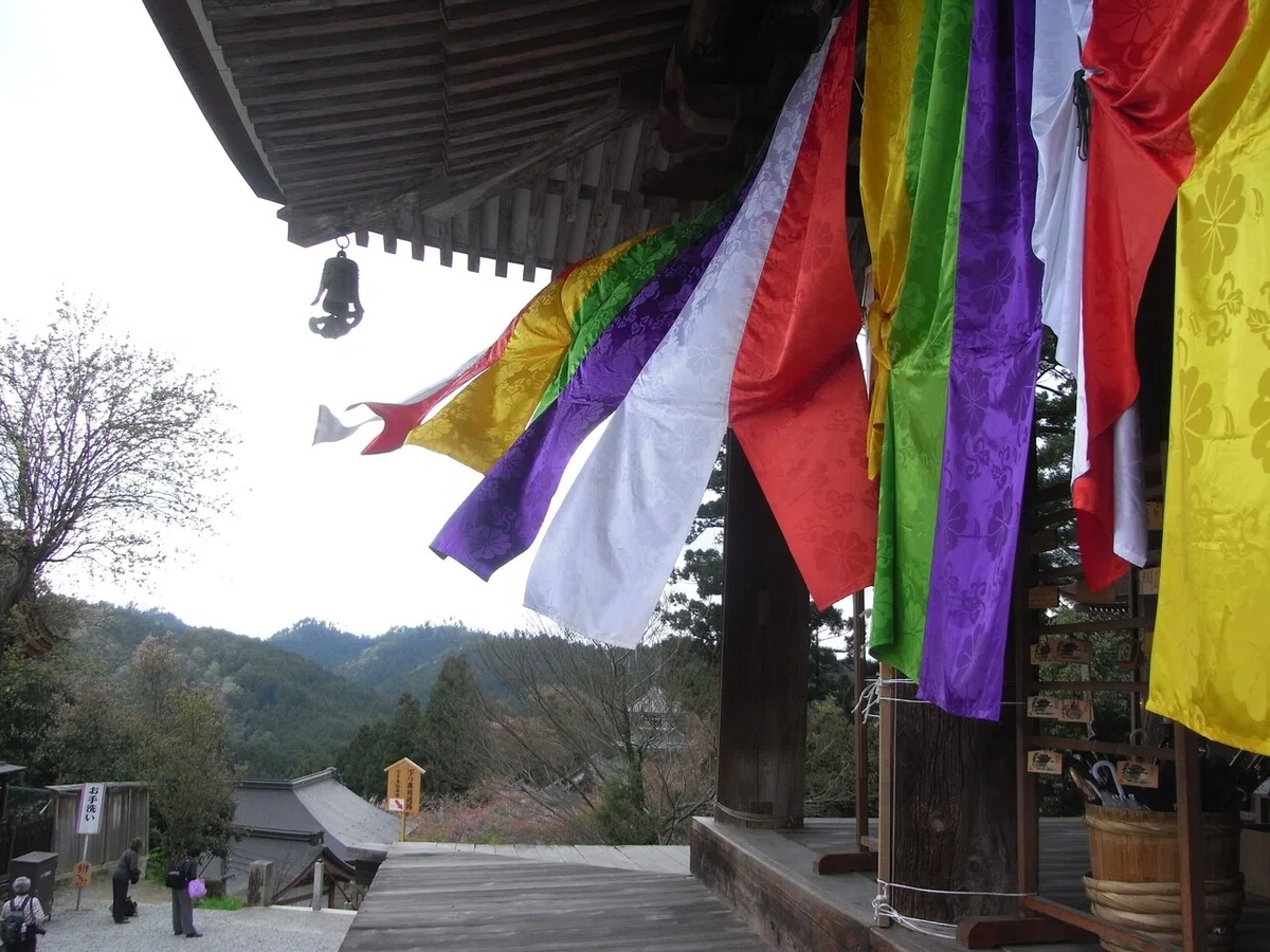 画像4