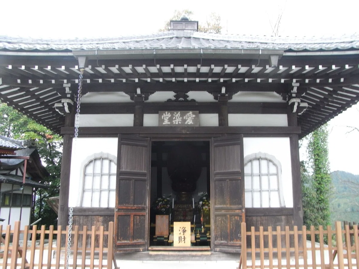 画像12