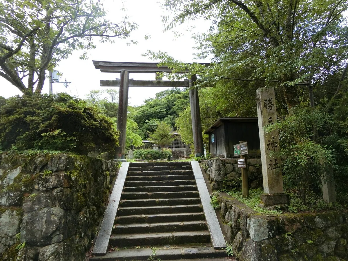 画像61